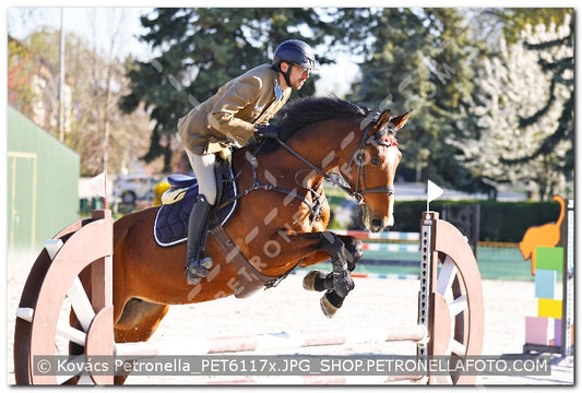 A kép az eredeti csökkentett reprezentációja
