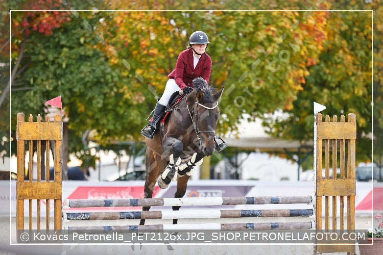 A kép az eredeti csökkentett reprezentációja