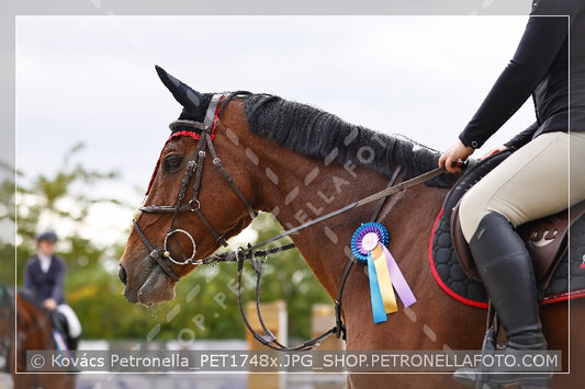 A kép az eredeti csökkentett reprezentációja