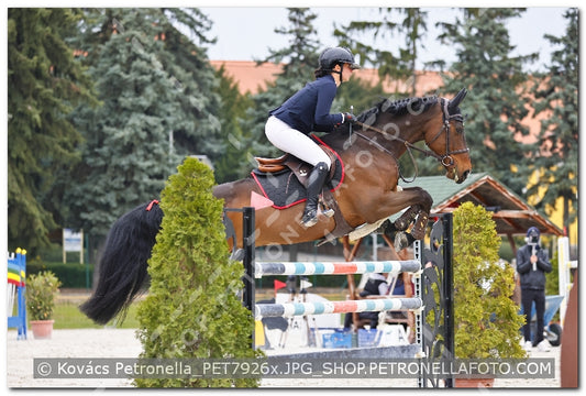 A kép az eredeti csökkentett reprezentációja