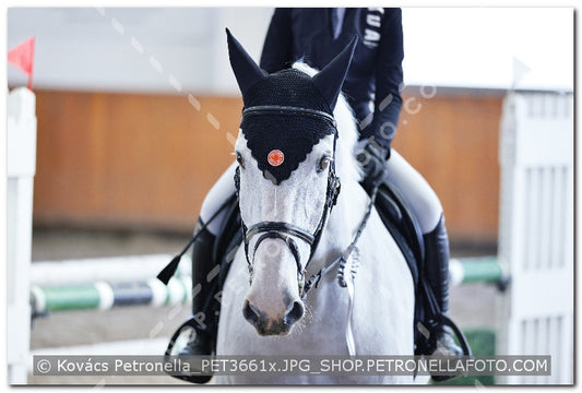 A kép az eredeti csökkentett reprezentációja
