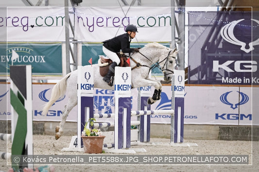 A kép az eredeti csökkentett reprezentációja