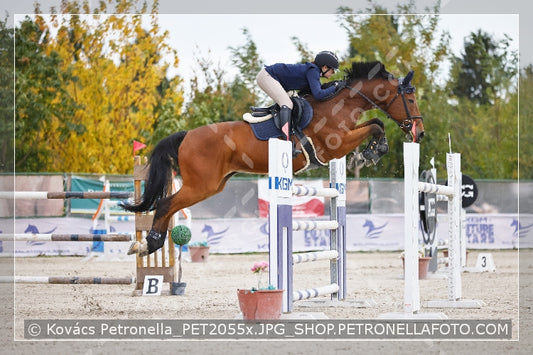 A kép az eredeti csökkentett reprezentációja