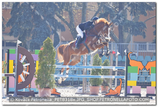 A kép az eredeti csökkentett reprezentációja