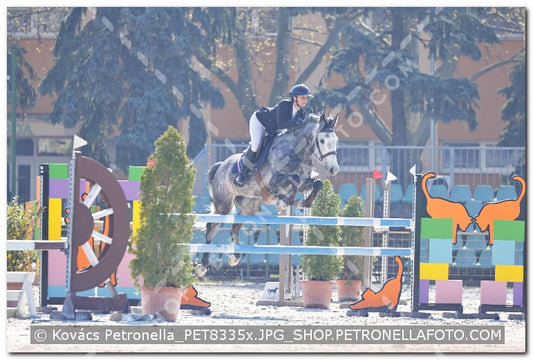 A kép az eredeti csökkentett reprezentációja