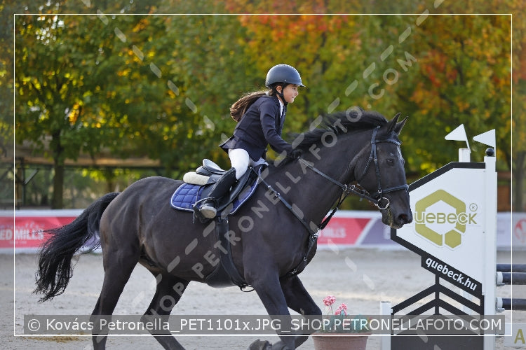 A kép az eredeti csökkentett reprezentációja