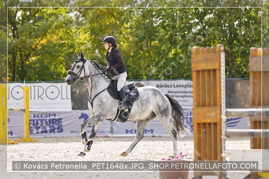 A kép az eredeti csökkentett reprezentációja