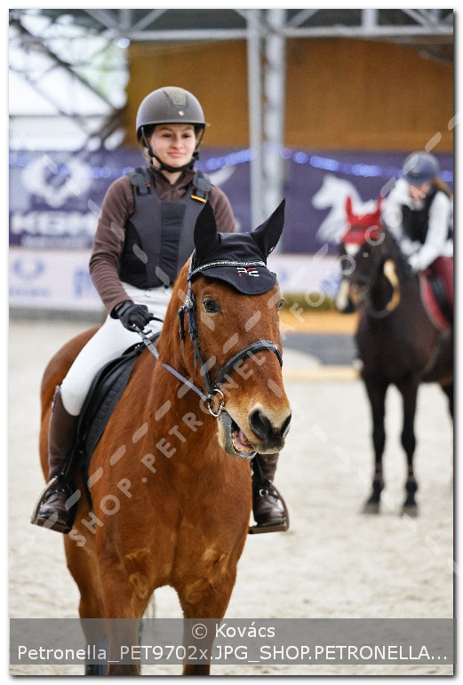 A kép az eredeti csökkentett reprezentációja
