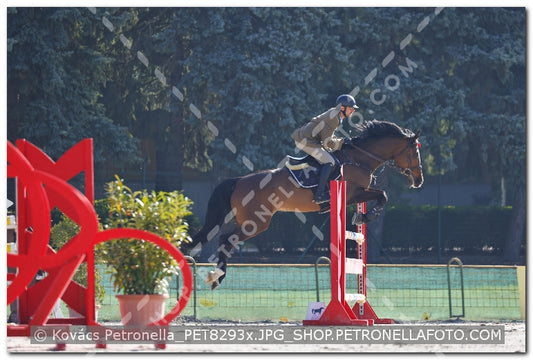 A kép az eredeti csökkentett reprezentációja