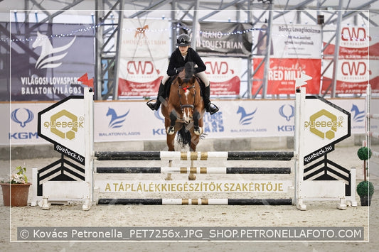 A kép az eredeti csökkentett reprezentációja