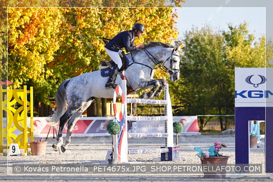 A kép az eredeti csökkentett reprezentációja