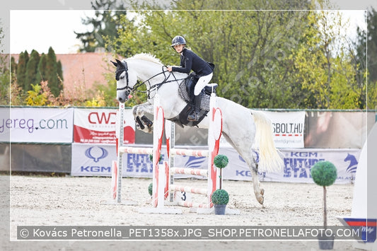 A kép az eredeti csökkentett reprezentációja