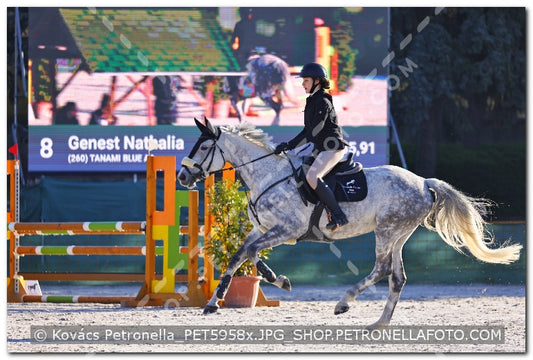 A kép az eredeti csökkentett reprezentációja