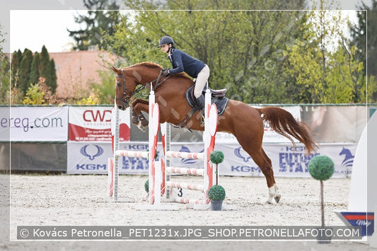 A kép az eredeti csökkentett reprezentációja