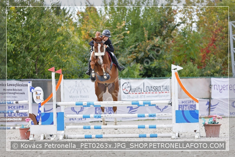 A kép az eredeti csökkentett reprezentációja