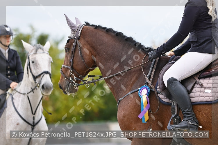A kép az eredeti csökkentett reprezentációja