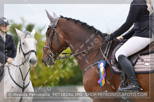 A kép az eredeti csökkentett reprezentációja