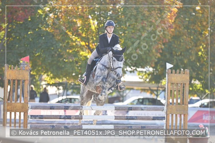 A kép az eredeti csökkentett reprezentációja