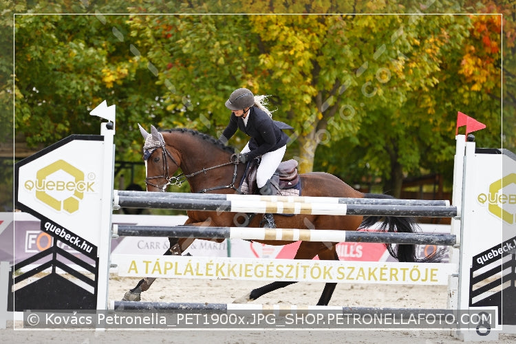 A kép az eredeti csökkentett reprezentációja