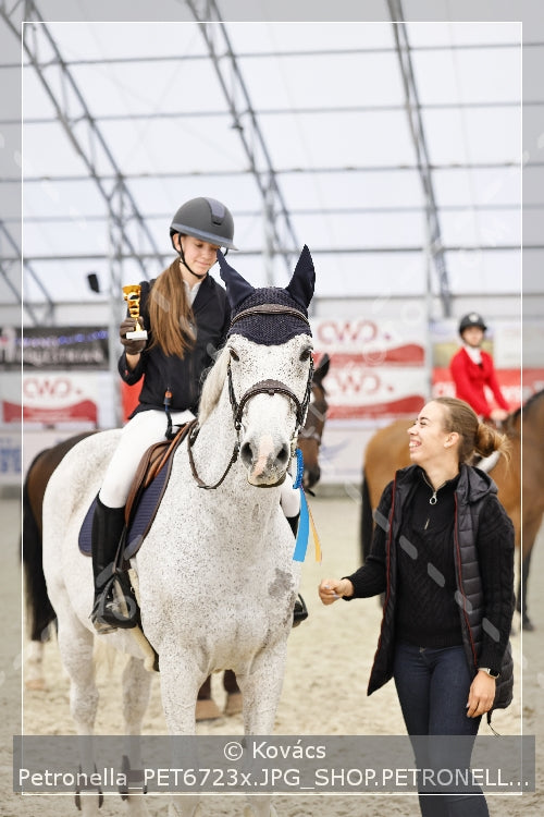 A kép az eredeti csökkentett reprezentációja