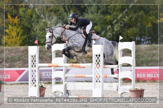 A kép az eredeti csökkentett reprezentációja