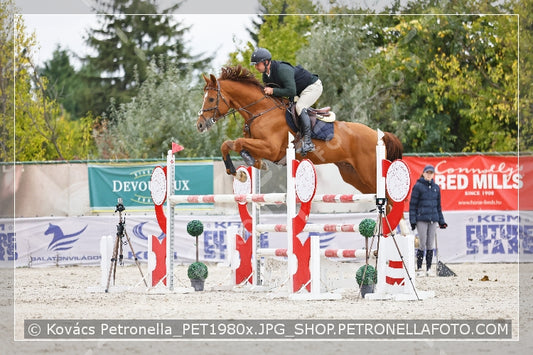 A kép az eredeti csökkentett reprezentációja
