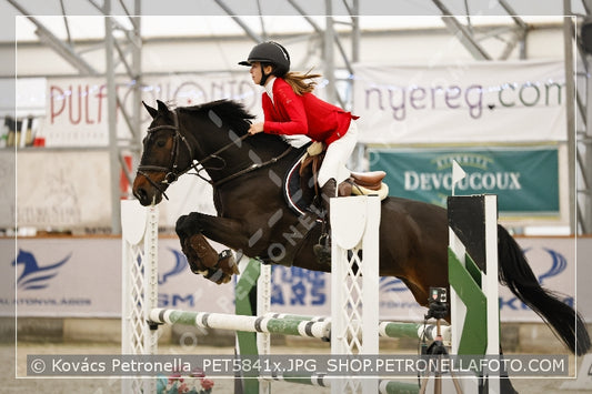 A kép az eredeti csökkentett reprezentációja