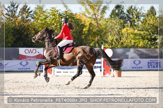 A kép az eredeti csökkentett reprezentációja