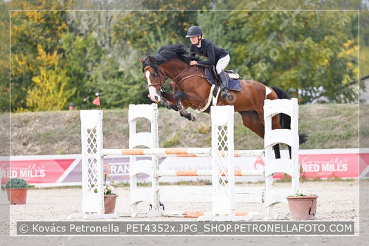 A kép az eredeti csökkentett reprezentációja