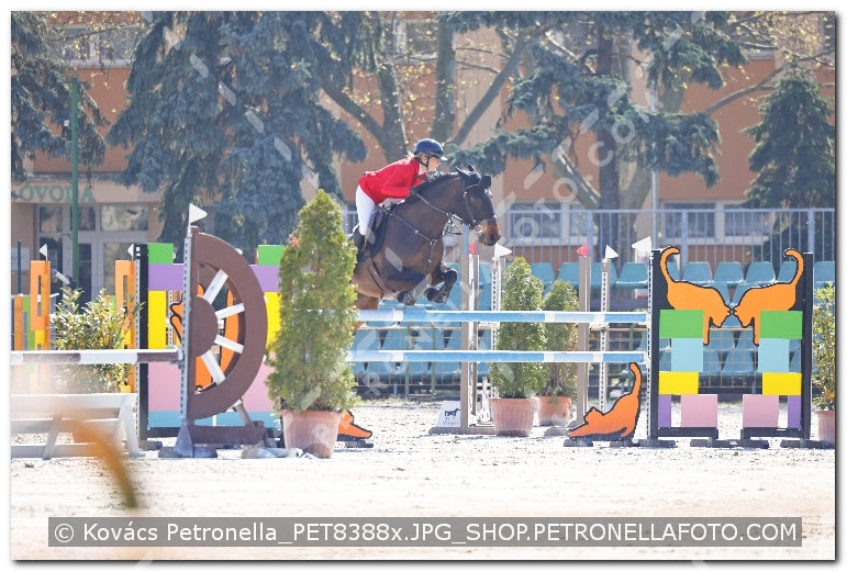 A kép az eredeti csökkentett reprezentációja