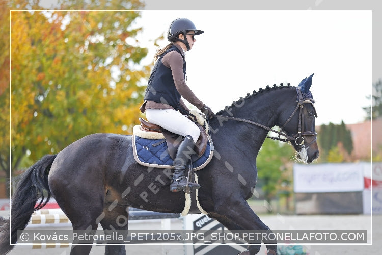 A kép az eredeti csökkentett reprezentációja