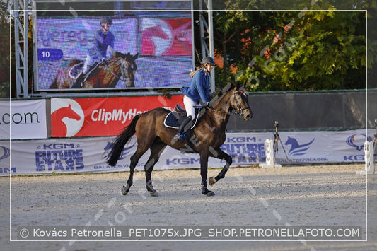 A kép az eredeti csökkentett reprezentációja
