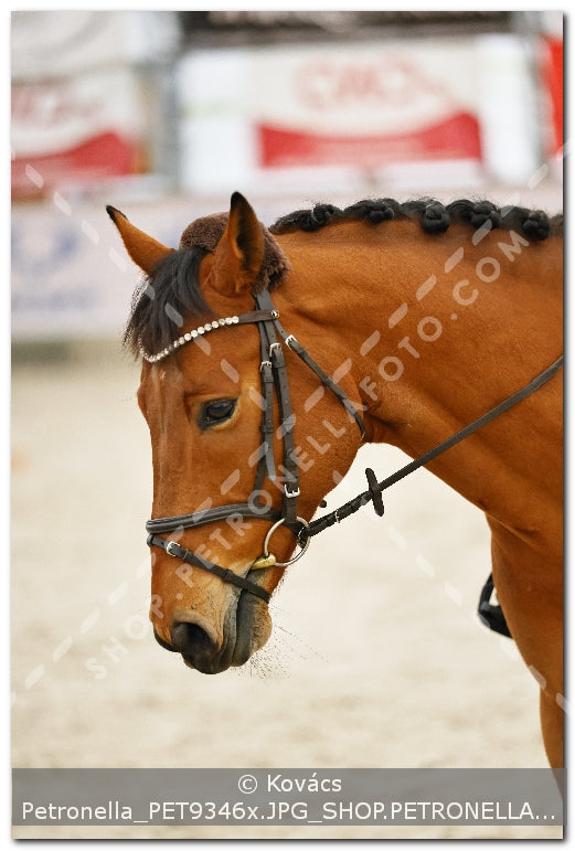 A kép az eredeti csökkentett reprezentációja