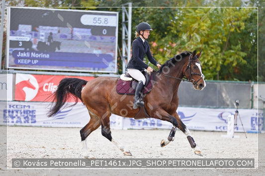 A kép az eredeti csökkentett reprezentációja