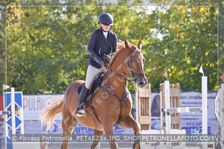 A kép az eredeti csökkentett reprezentációja