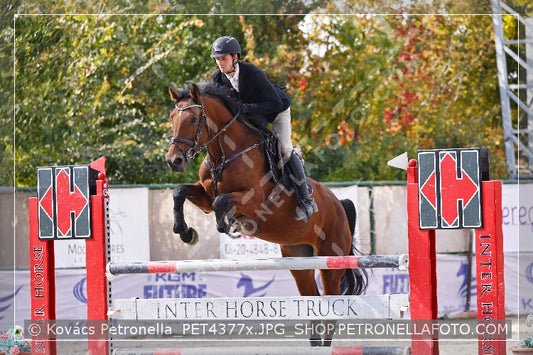 A kép az eredeti csökkentett reprezentációja