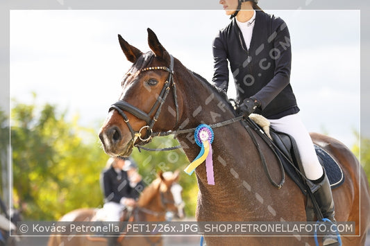 A kép az eredeti csökkentett reprezentációja