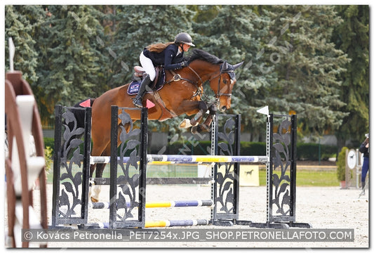 A kép az eredeti csökkentett reprezentációja