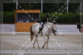 A kép az eredeti csökkentett reprezentációja