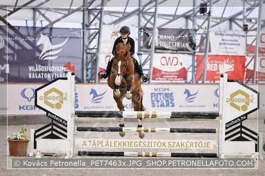 A kép az eredeti csökkentett reprezentációja