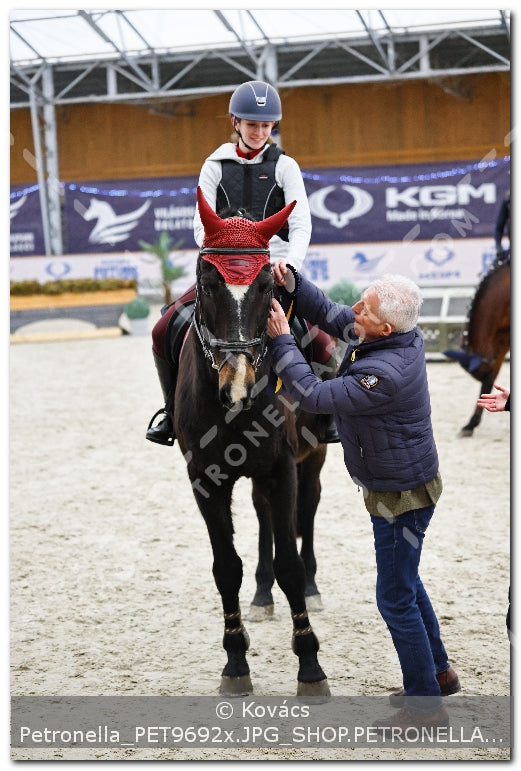 A kép az eredeti csökkentett reprezentációja