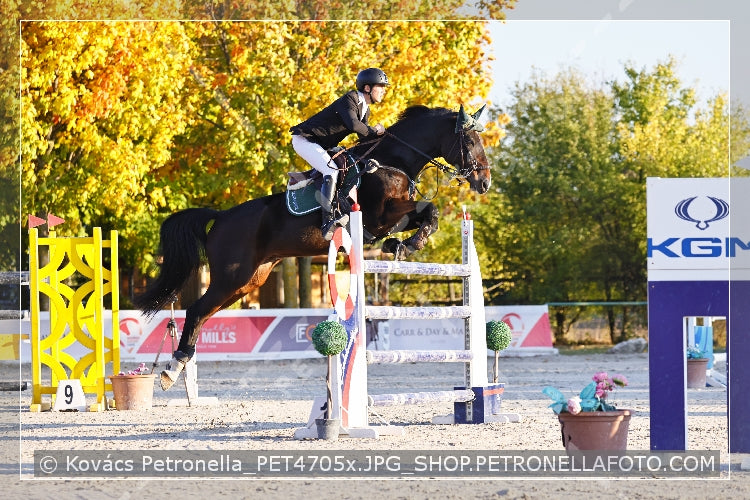 A kép az eredeti csökkentett reprezentációja