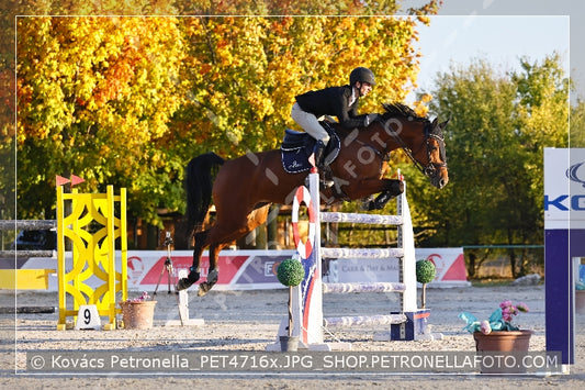 A kép az eredeti csökkentett reprezentációja
