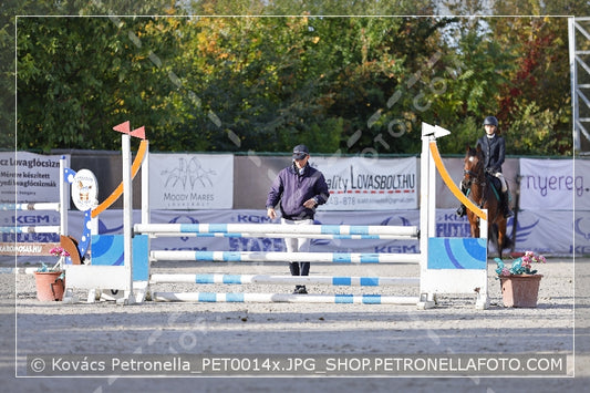 A kép az eredeti csökkentett reprezentációja