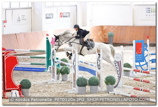 A kép az eredeti csökkentett reprezentációja