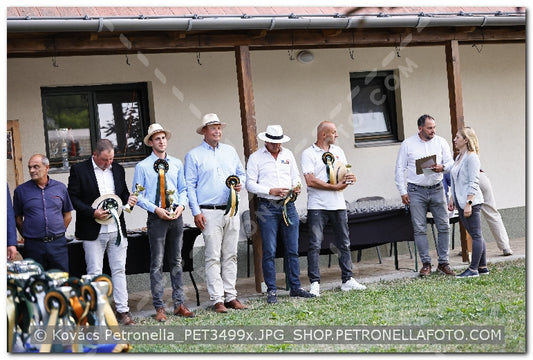 A kép az eredeti csökkentett reprezentációja