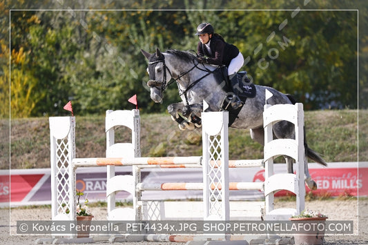 A kép az eredeti csökkentett reprezentációja