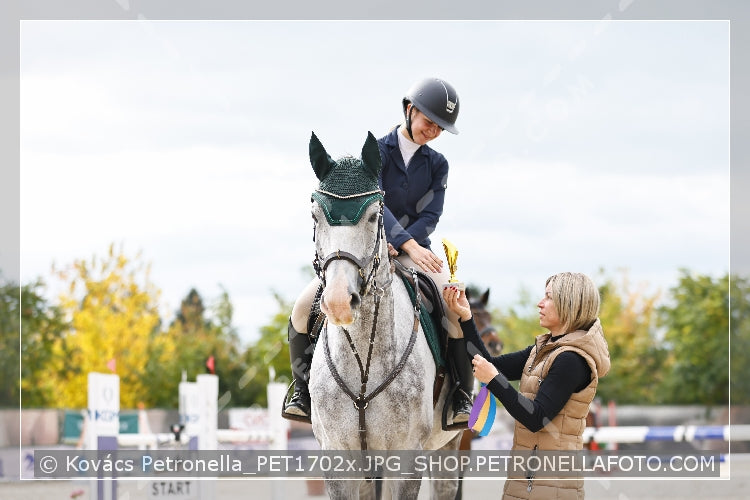A kép az eredeti csökkentett reprezentációja