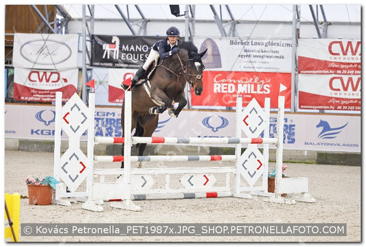 A kép az eredeti csökkentett reprezentációja