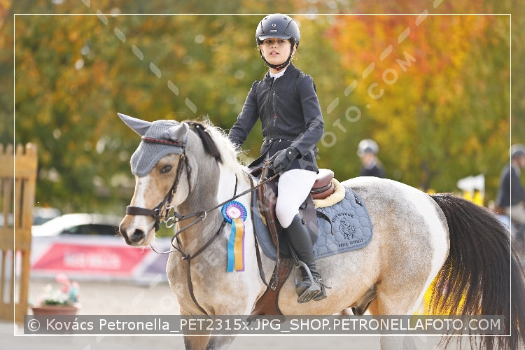 A kép az eredeti csökkentett reprezentációja